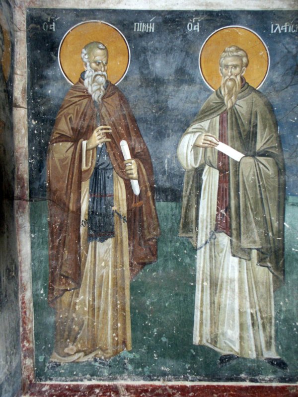 Crinii pustiei 65944