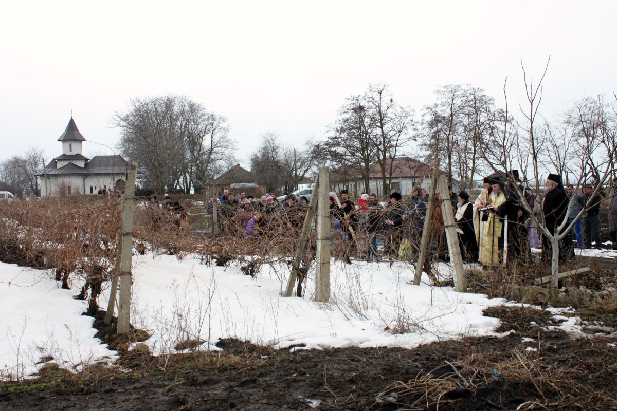 Hramul capelei Muzeului eparhial din Galați 65740