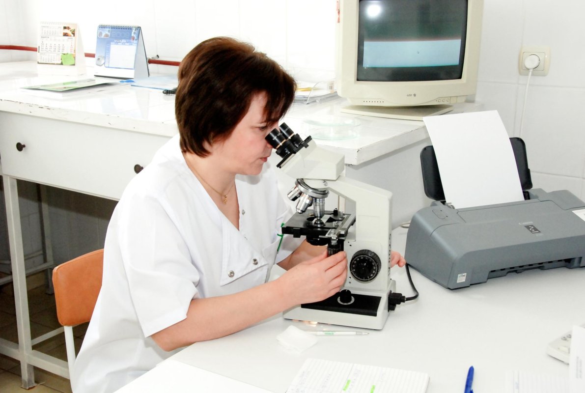 Virusul Zika, urgență la nivel mondial 65619