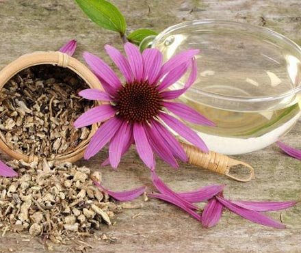 Cum să prevenim răceala şi gripa 65510