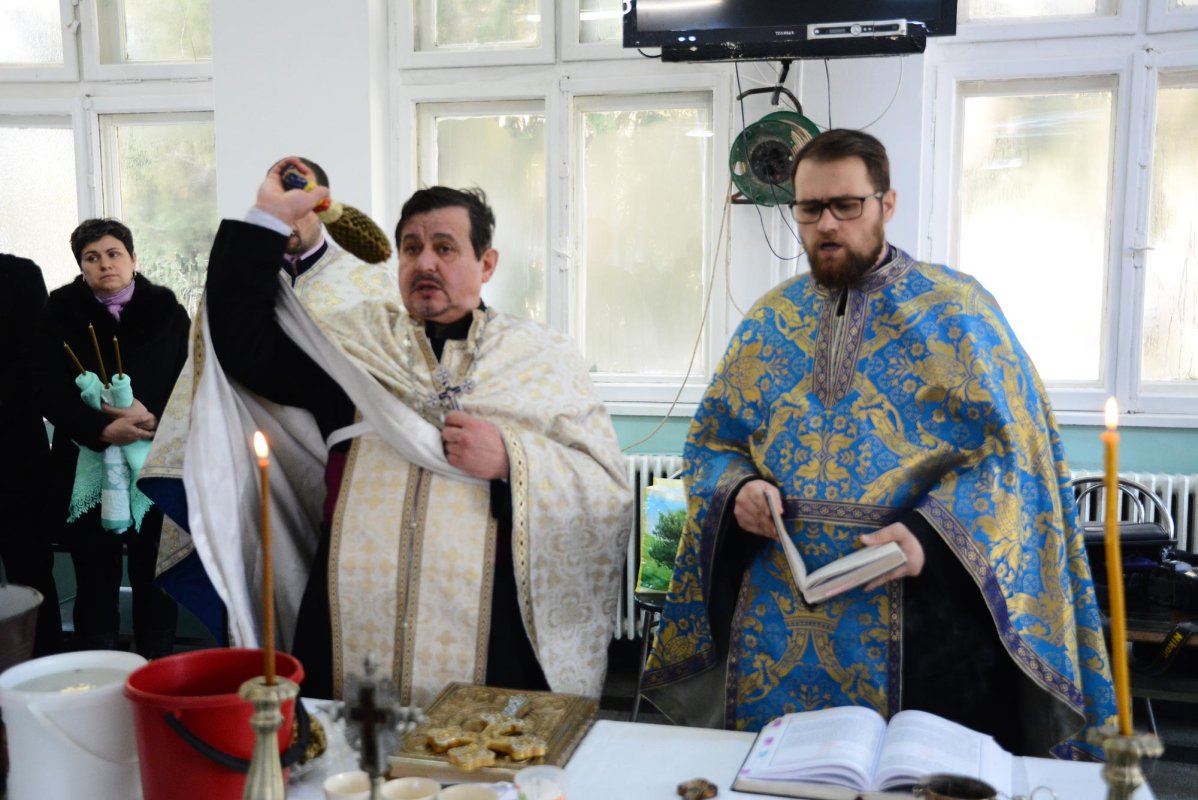 Bucuriile nepieritoare sunt rupte din rai 65469