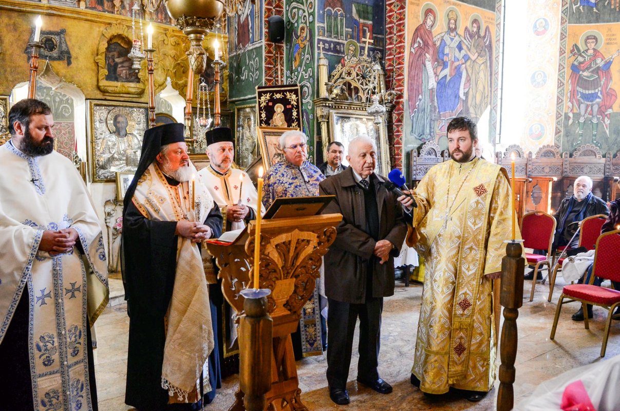 Un ilustru istoric şi arheolog român - academicianul Alexandru Vulpe (1931-2016) 65262