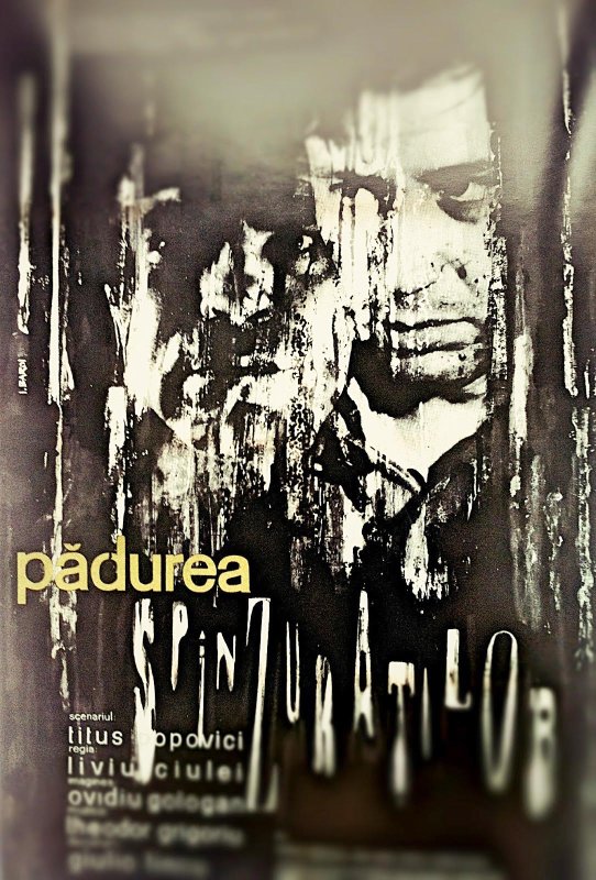 Profetismul „Pădurii spânzuraților” sau secretul fascinației filmului 65188