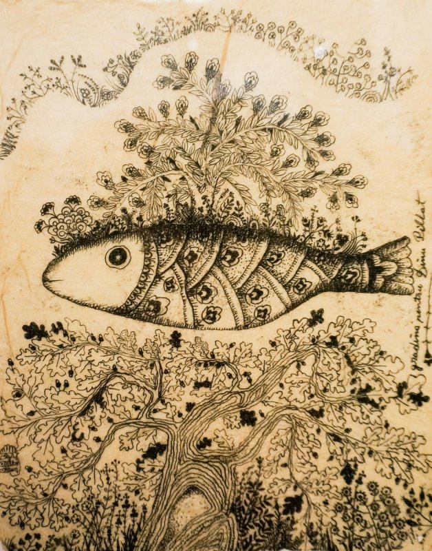 De la tristeţe la disperare 65130