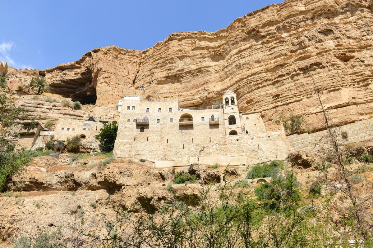 Un martor prețios 64960