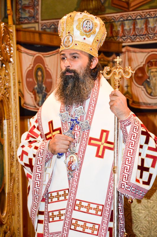 Preasfințitul Părinte Paisie Lugojeanul, la ceas aniversar 64844