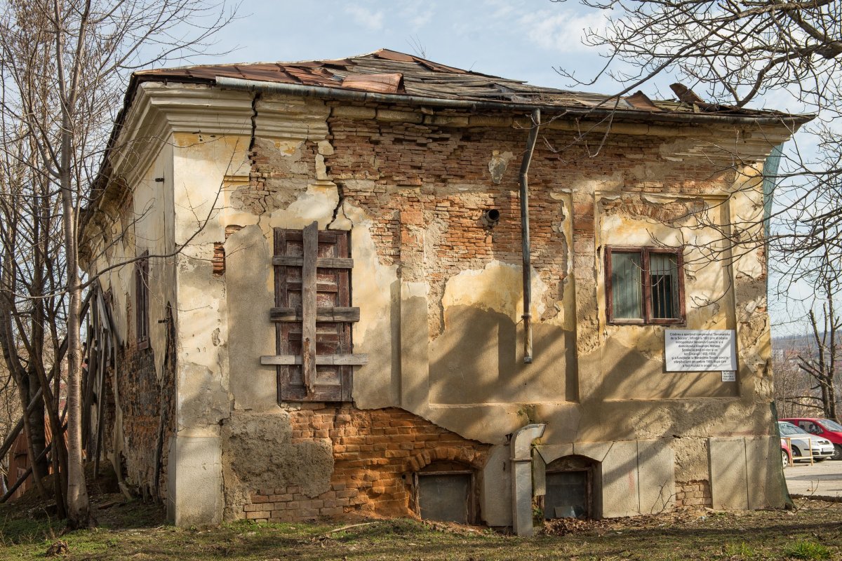 „Salvaţi istoria Iaşului - Salvaţi Casa Creangă“ 64813