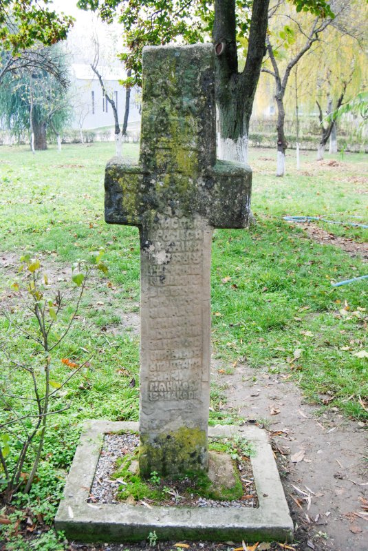 Crucile de piatră din Cetatea Băniei 63860