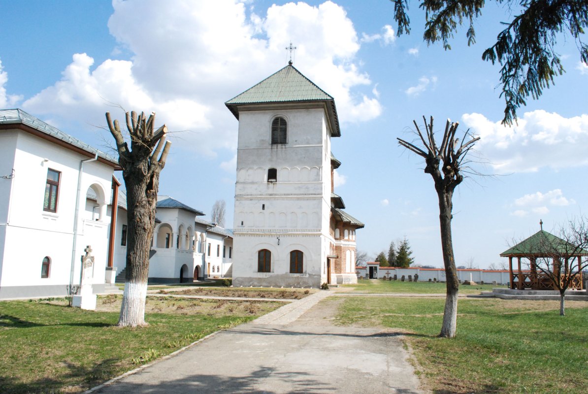 Crucile de piatră din Cetatea Băniei 63861