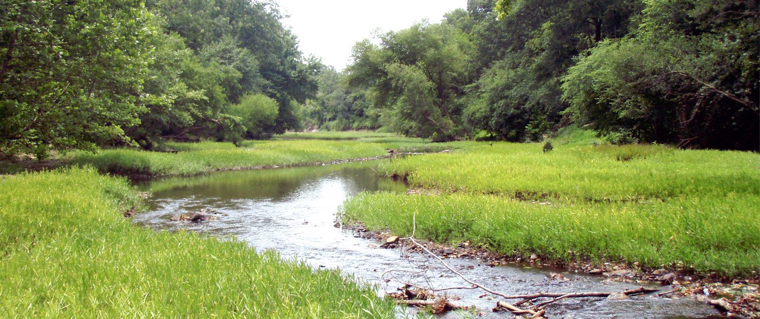 Criza ecologică şi efectele ei 63596