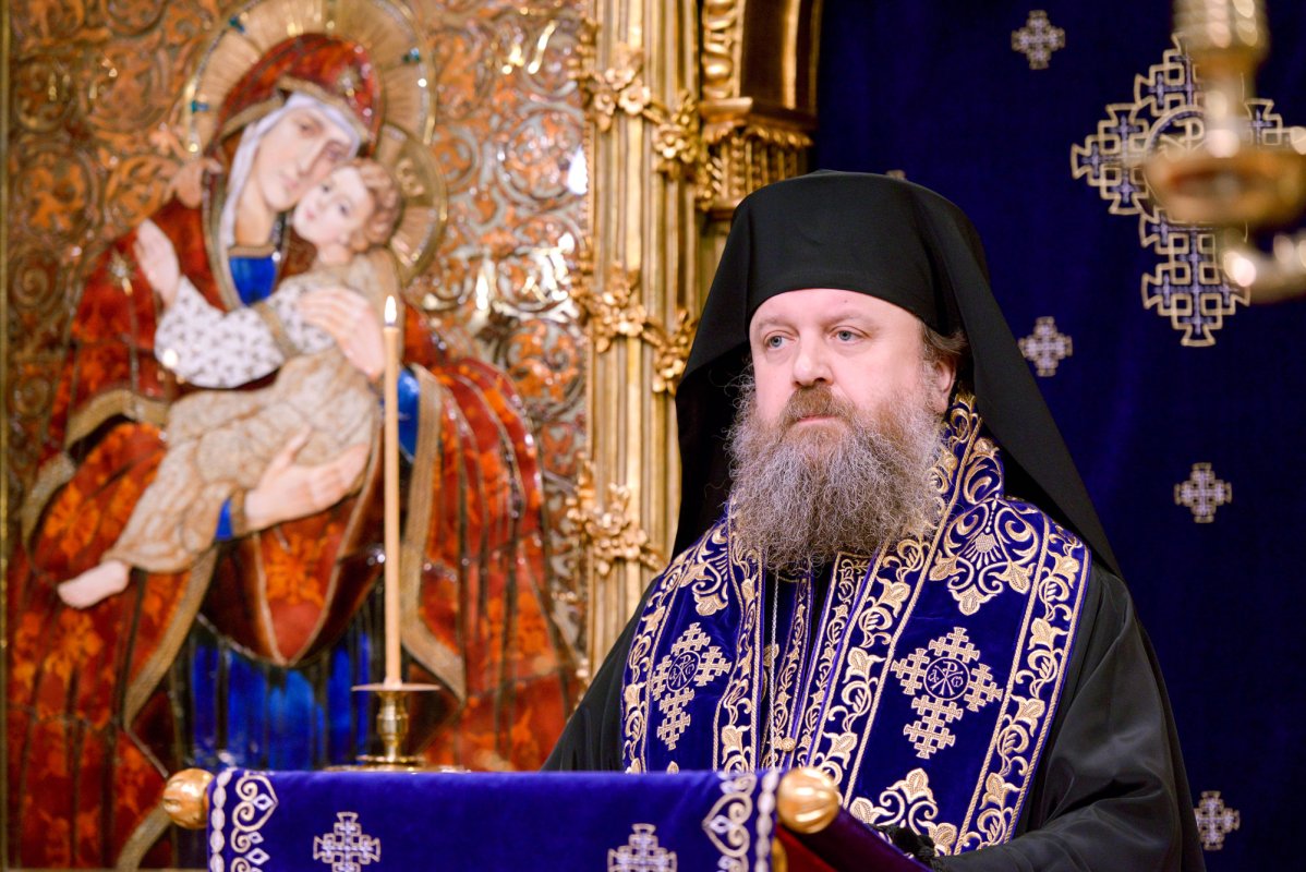 Neosândirea, o virtute desconsiderată 63267