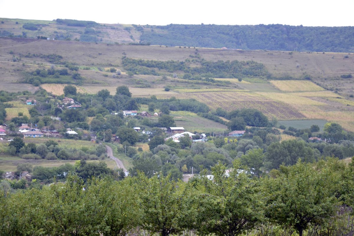 Bisericuța Orgoeștilor, sălaș pentru duhul veacurilor 63386