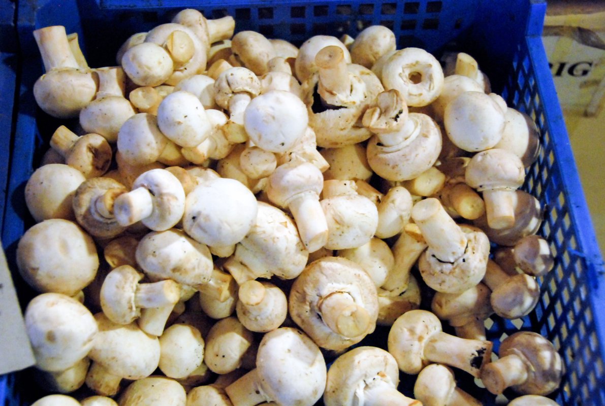 Sănătate prin post și fitoterapie 63226