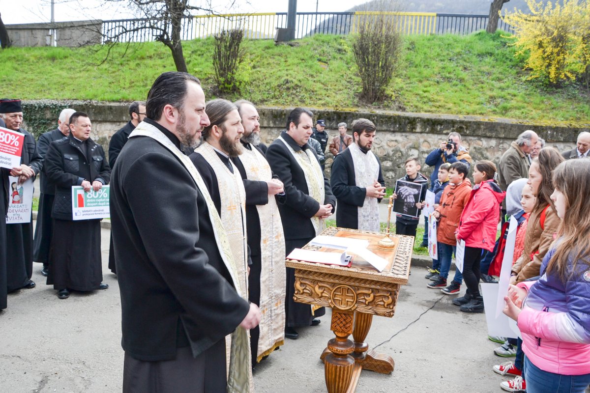 Marșul pentru viață la Timișoara și Reșița 62657