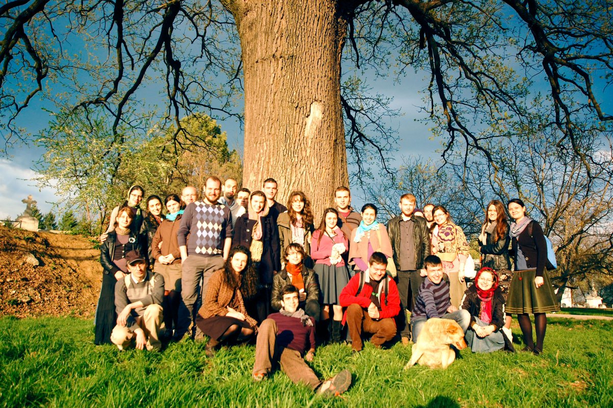 Voluntariatul - între activism social  și porunca dragostei creștine 62482