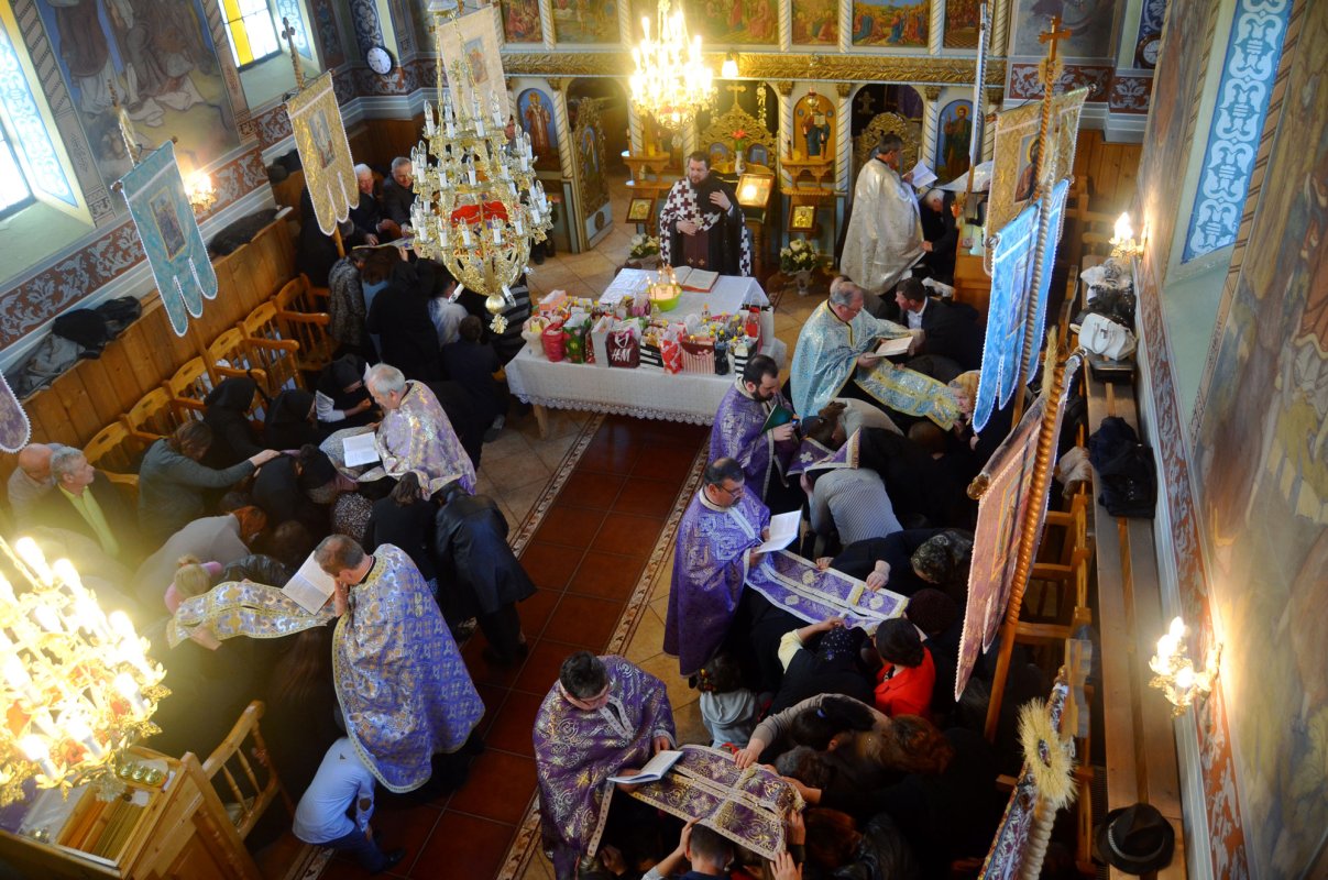 Seminariștii arădeni în vizită la Parohia Sintea-Mare  62299