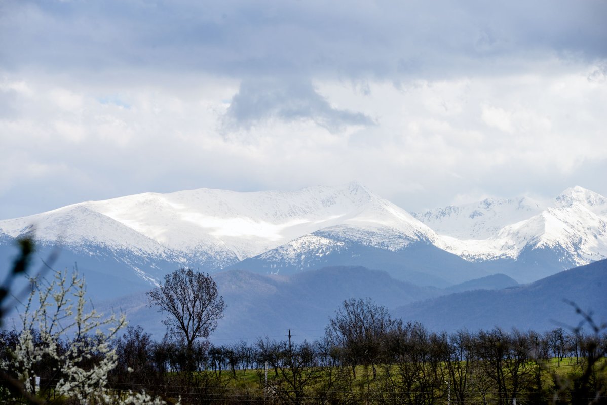 În așteptarea luminii Învierii la Densuș 61947