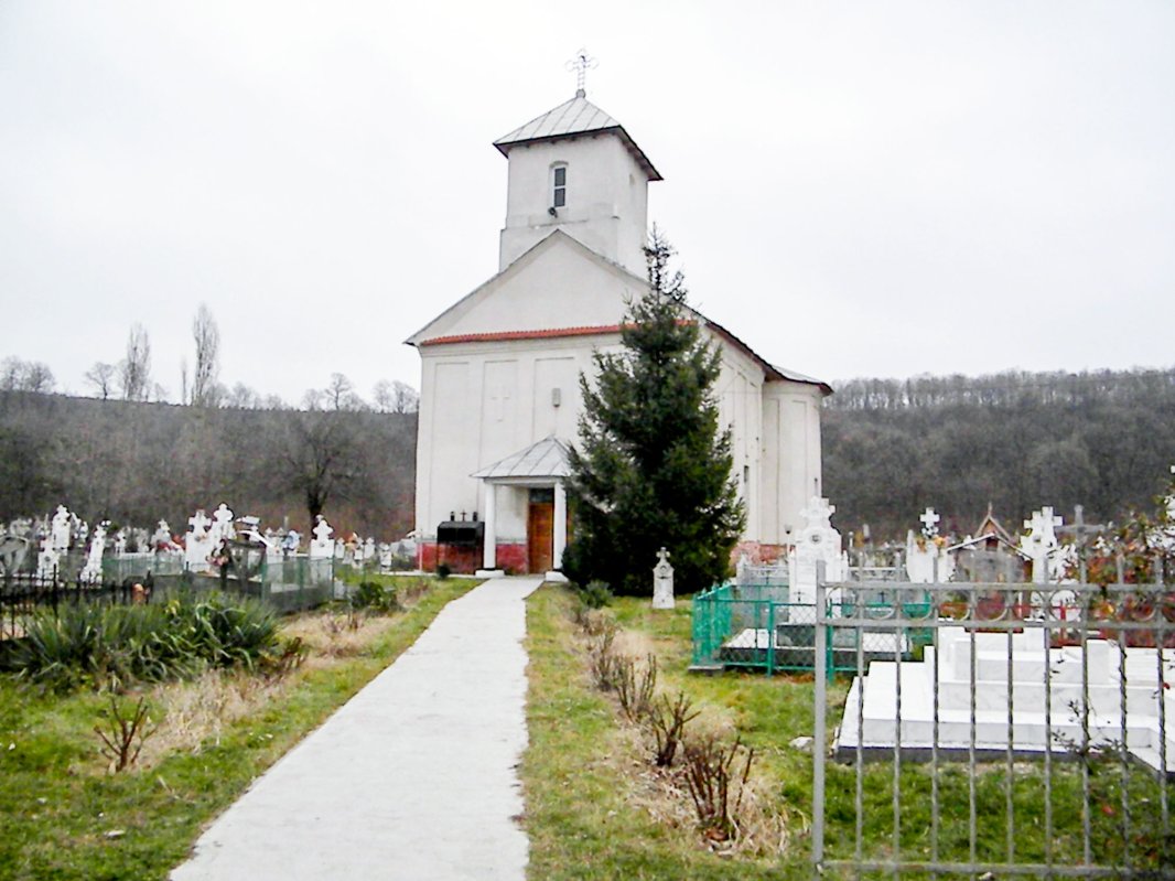 Sărbătoarea Sfântului Calinic de la Cernica 61932