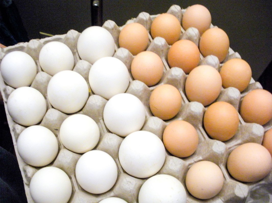 Cum recunoaştem produsele alimentare bune de consum 61882