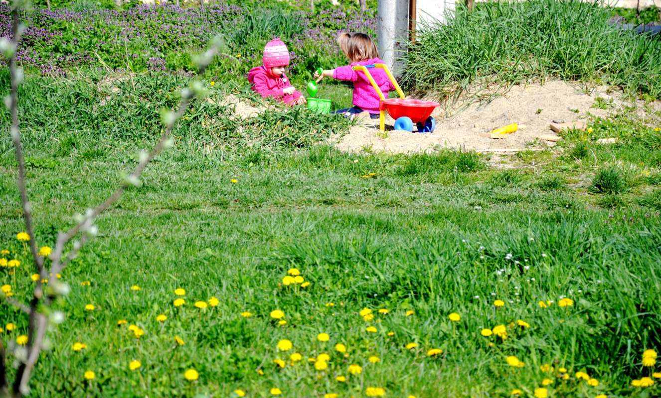 Dermatologii avertizează asupra riscului parazitării cu căpușe 61816