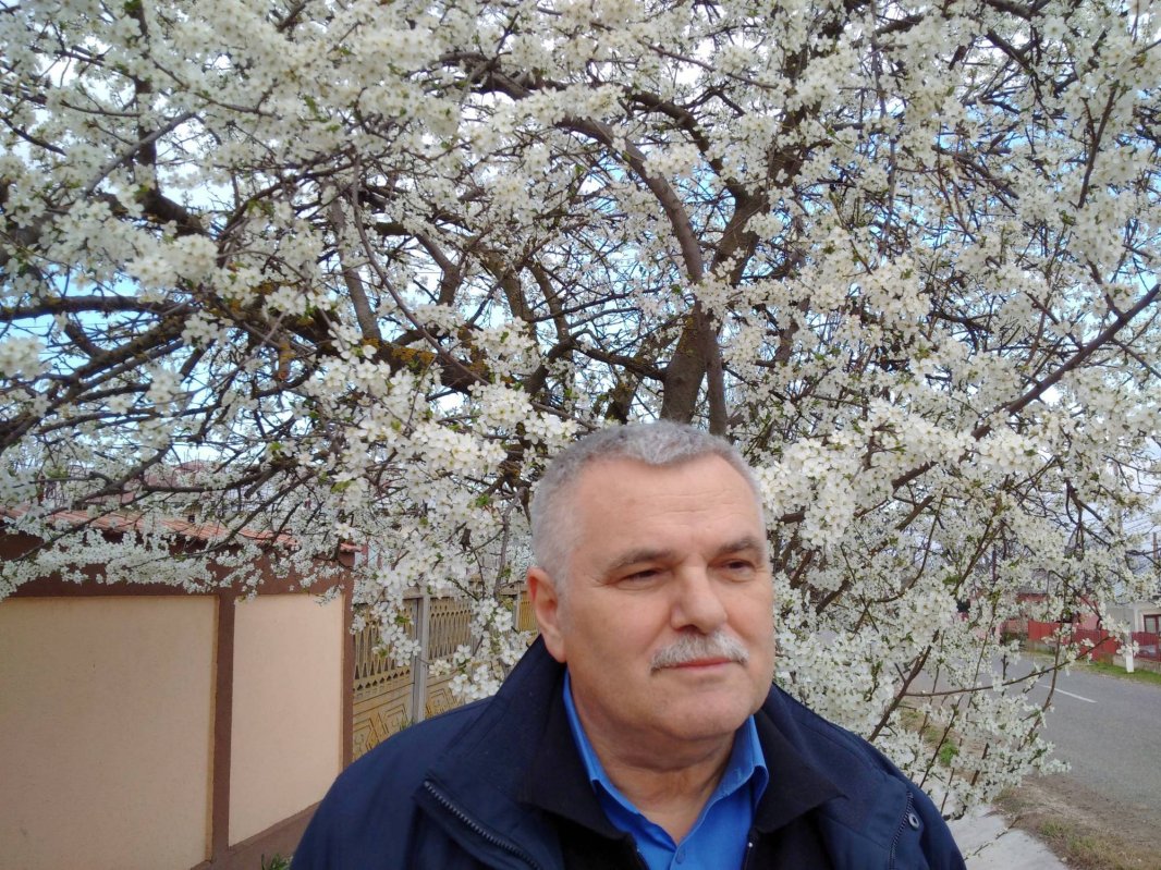 „E la mijloc o putere de sus, care vine și  îmi adună în poveste cuvintele” 61692