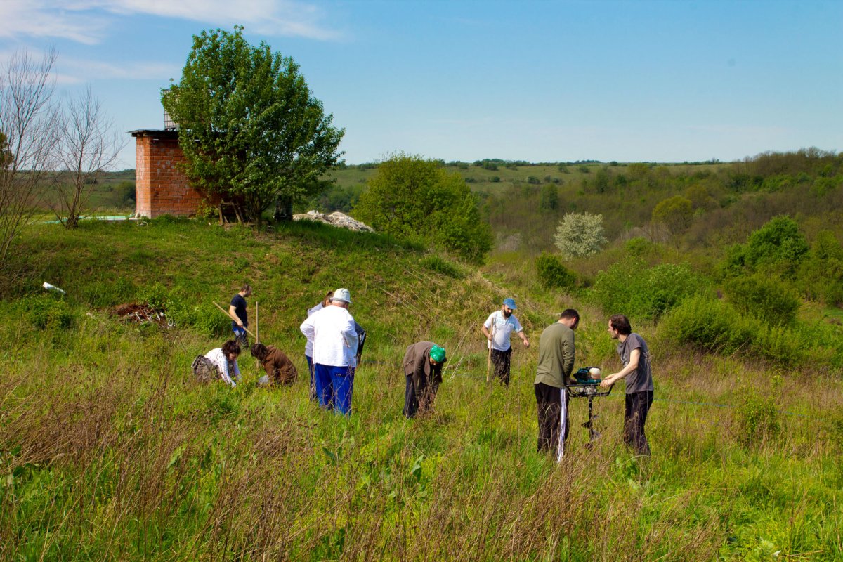 Voluntariat ecologic organizat de ASCOR Timișoara 61552