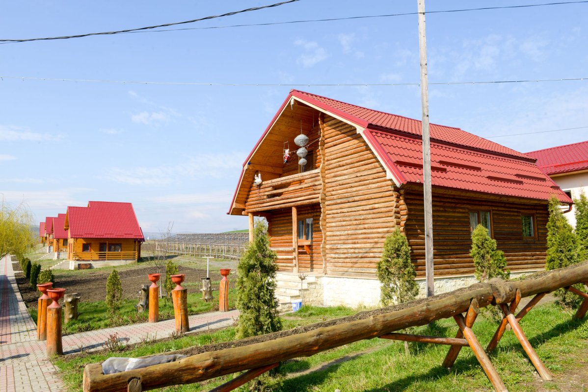 Lucrare și jertfă pilduitoare la Așezământul Dumbrava 61404