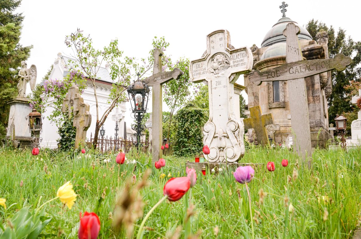 Istorie și veșnicie printre mormintele Cernicăi 61284