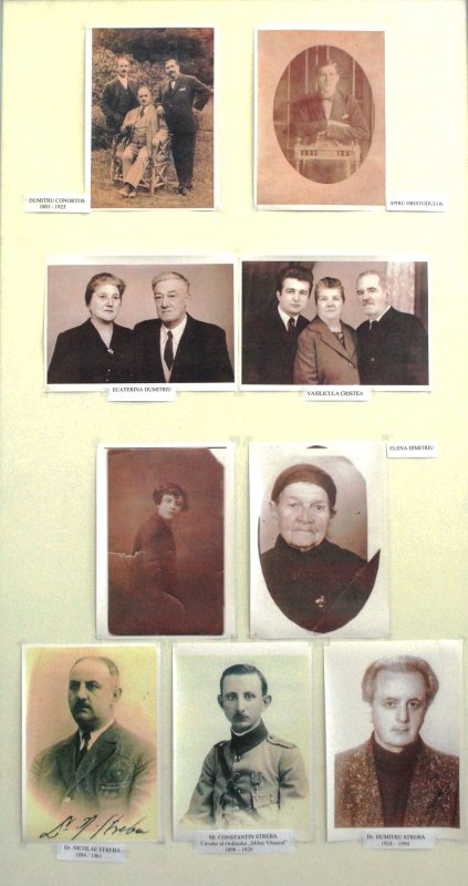 Moştenirea familiei Theodoru 61221