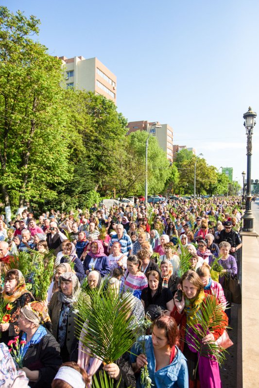 Rugăciune adusă lui Dumnezeu cu stâlpări și ramuri verzi 61231
