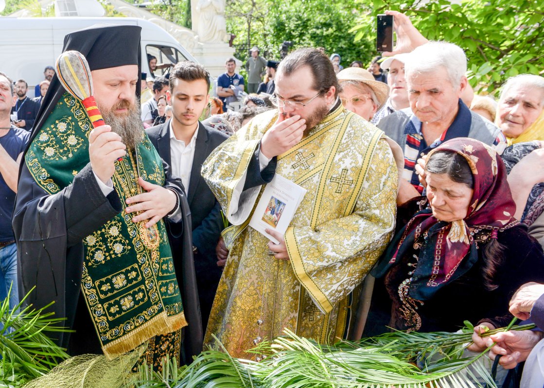 Rugăciune adusă lui Dumnezeu cu stâlpări și ramuri verzi 61237