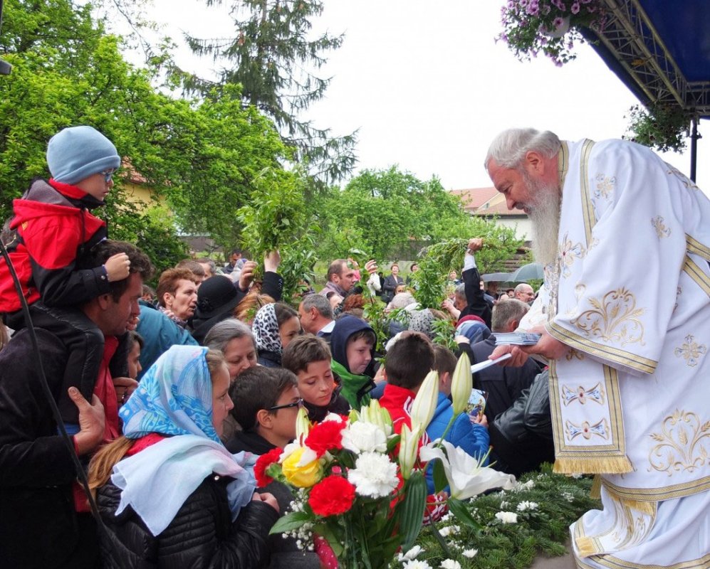 Intrarea în Ierusalim a Mântuitorului Iisus Hristos 61137