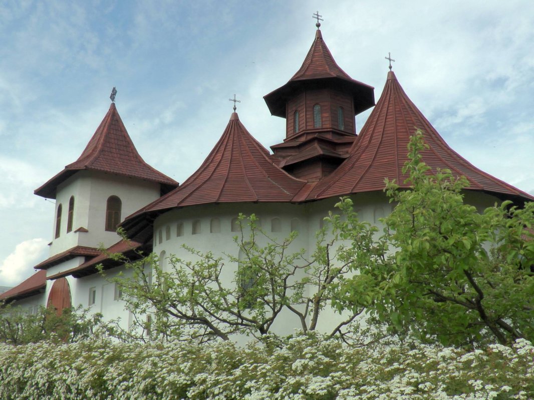  „Îl simţim pe Dumnezeu şi ne apropiem de El când îi ajutăm pe cei săraci şi bolnavi“ 60762