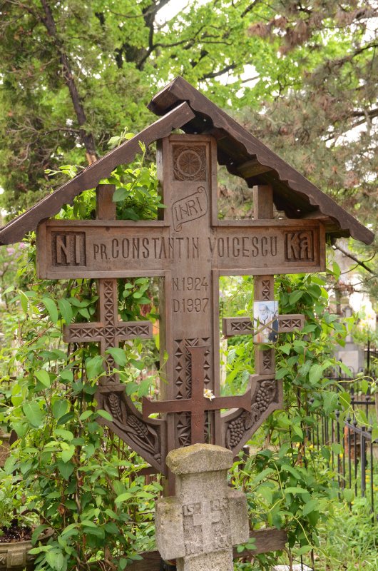 Chipuri luminoase înveșnicite în ostrovul cernican 60578