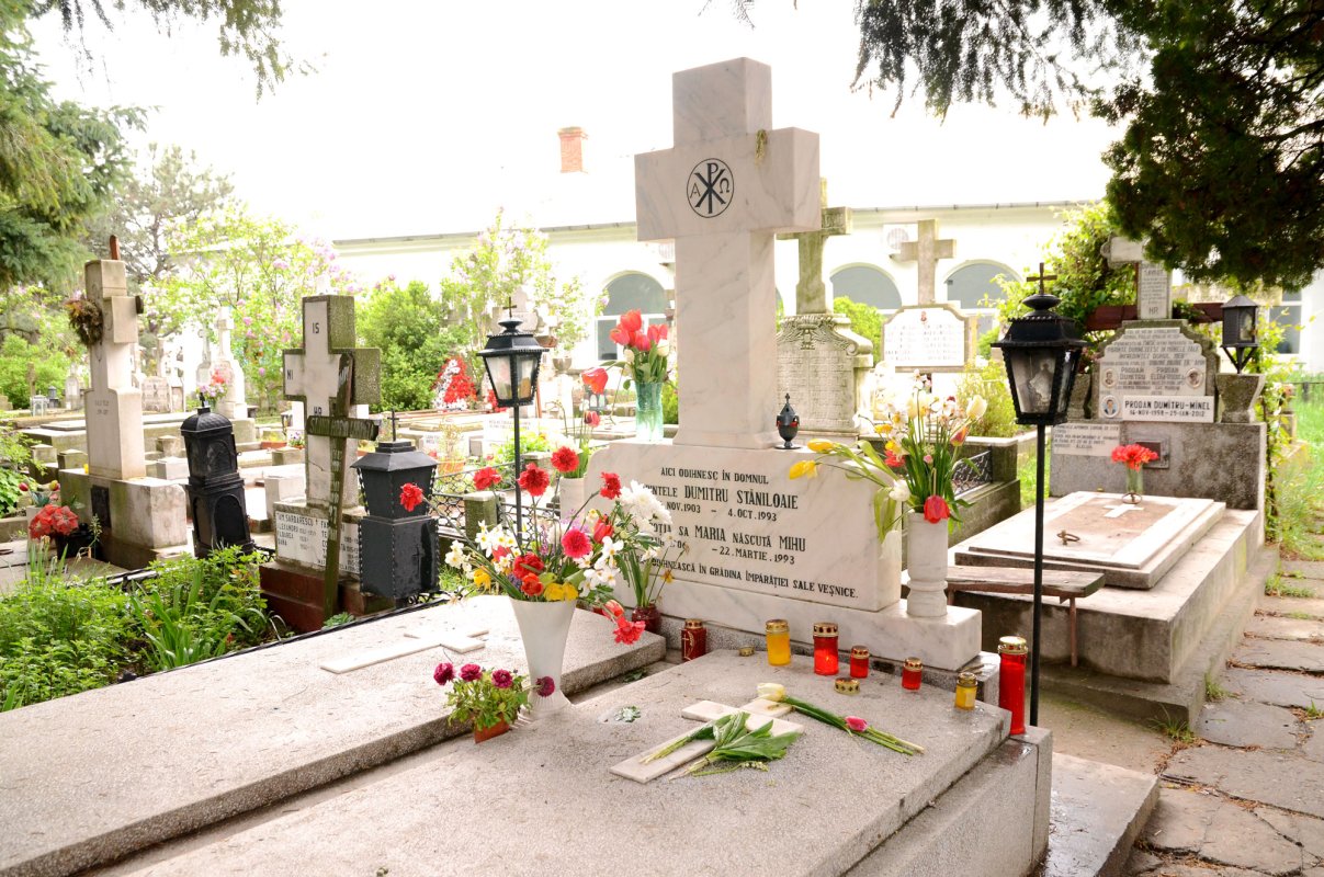 Chipuri luminoase înveșnicite în ostrovul cernican 60580