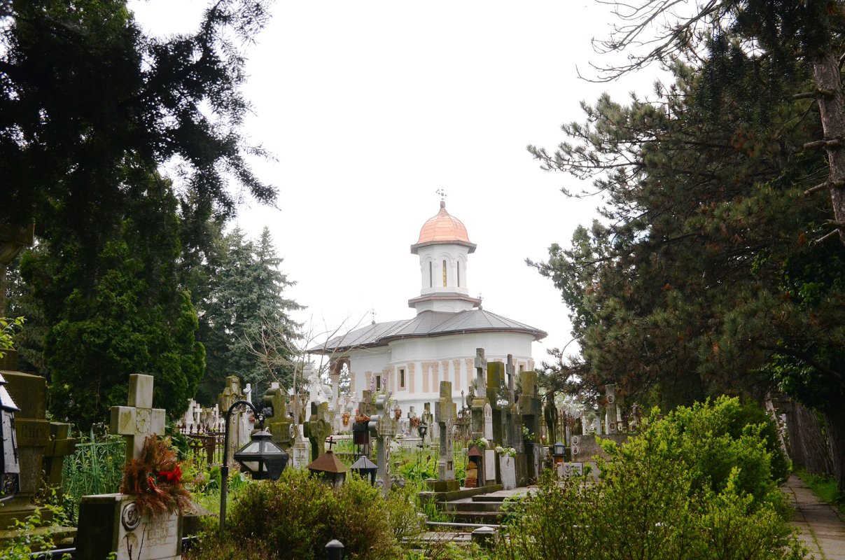 Chipuri luminoase înveșnicite în ostrovul cernican 60582