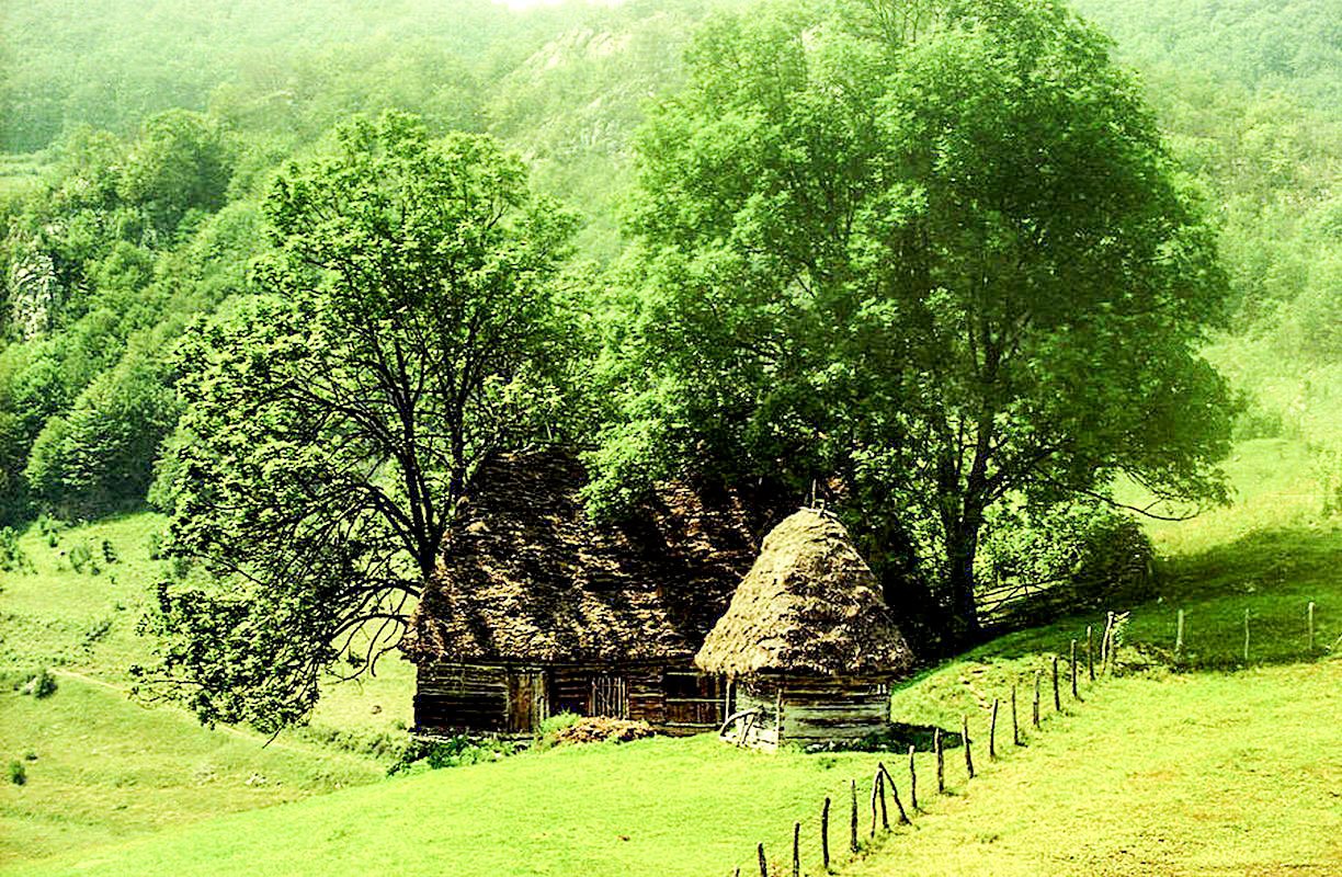 Cu urechile pline de ceartă 60457