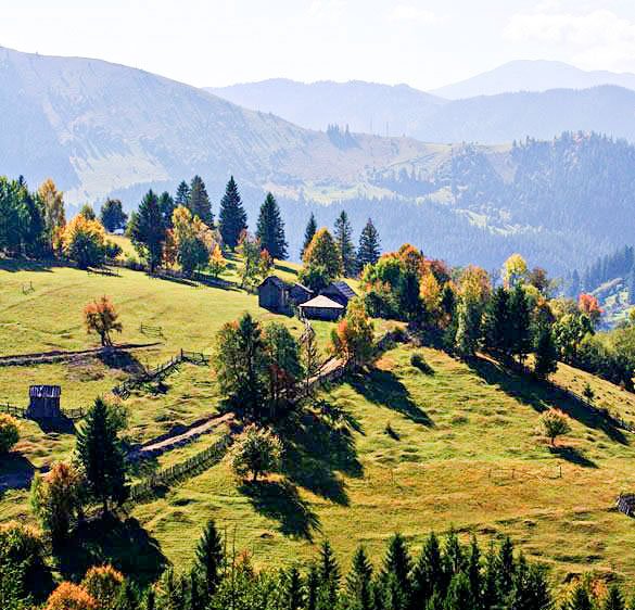 Cu urechile pline de ceartă 60459