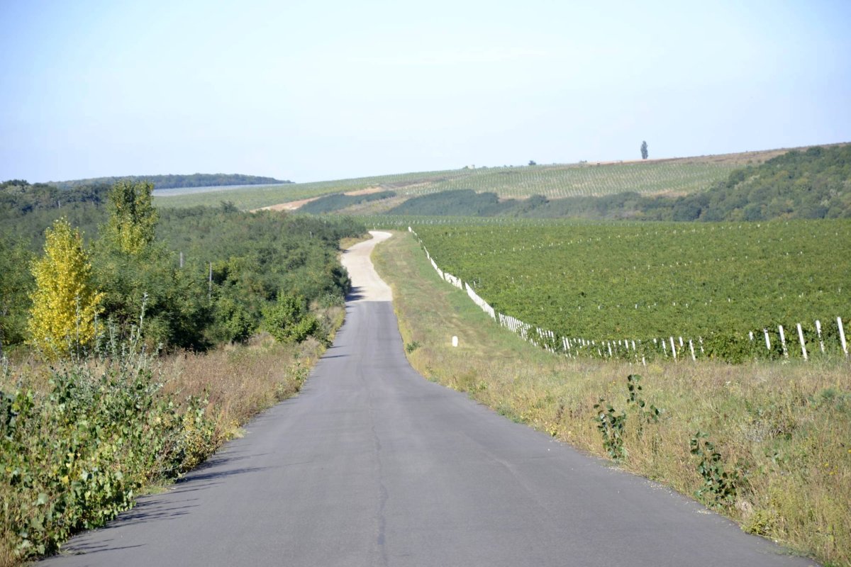 Bisericuța Avereștilor, un veritabil muzeu de artă 60186