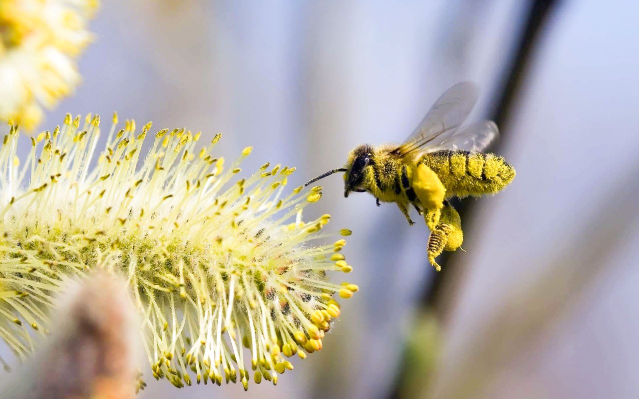 Compensaţia între iluzie şi adevăr 60156