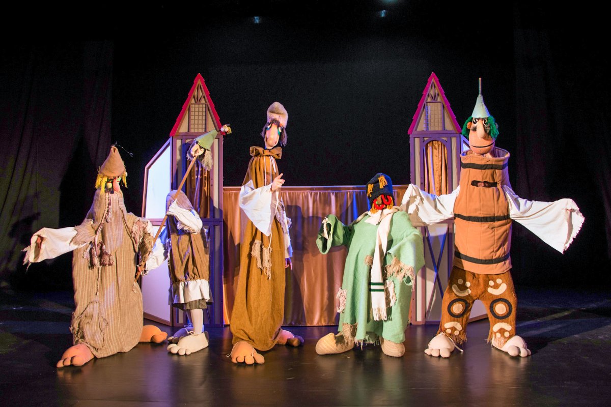 Teatrul Colibri, la FIAA de la Arad 59983