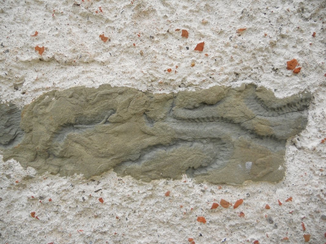 Biserica din Densuș, locul unde pietrele mărturisesc 59754