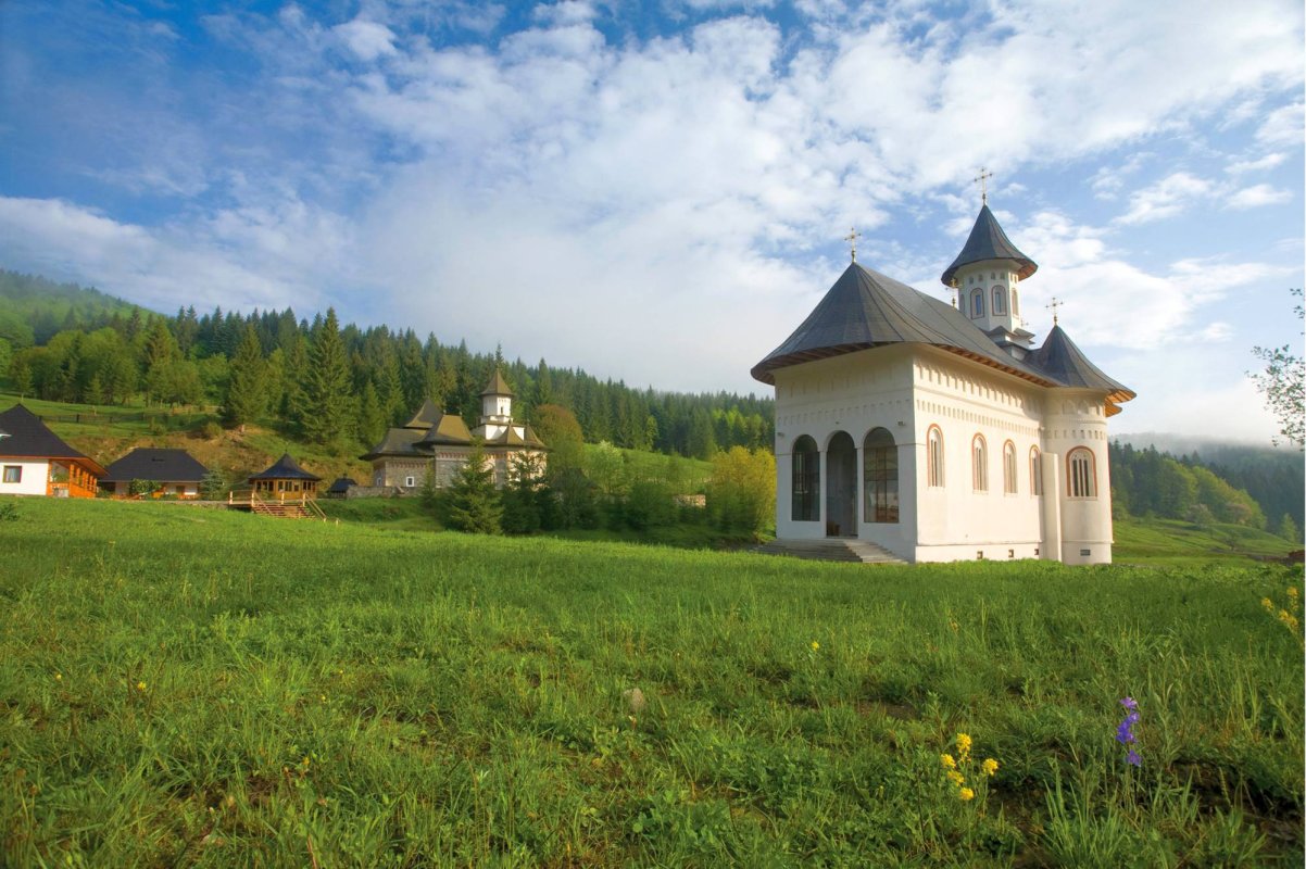 O poiană şi o cărare. Ieri şi azi 59490