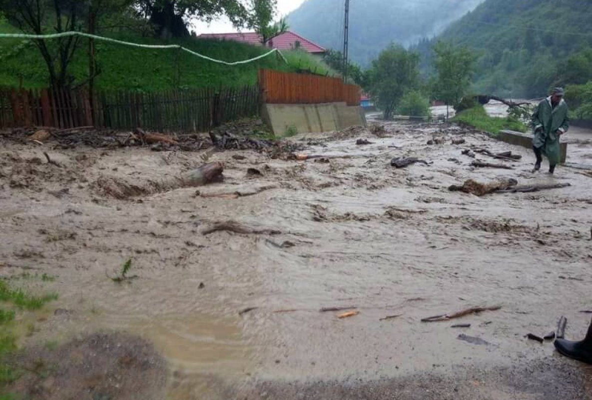 Solidaritate pentru sinistraţii din judeţul Bacău 58947
