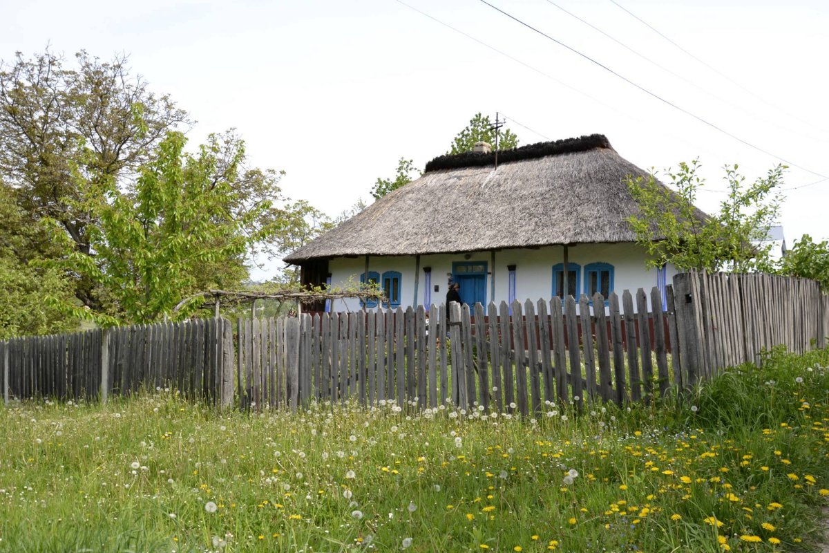 La Ibănești, pe ulițele veșniciei 58929