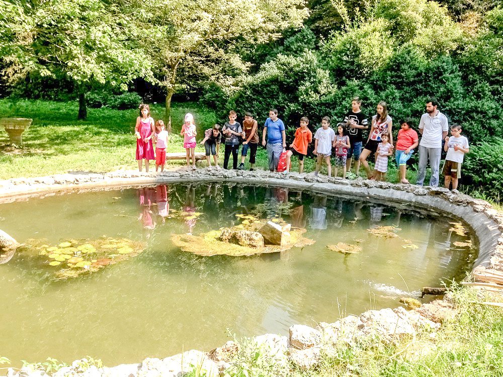 Integrarea tinerilor din Orăștie în viața Bisericii 58676