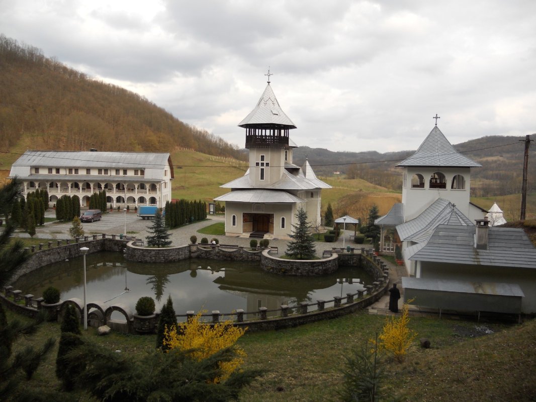 Crișan sau bucuria întâlnirii cu lumina care te hrănește 58529