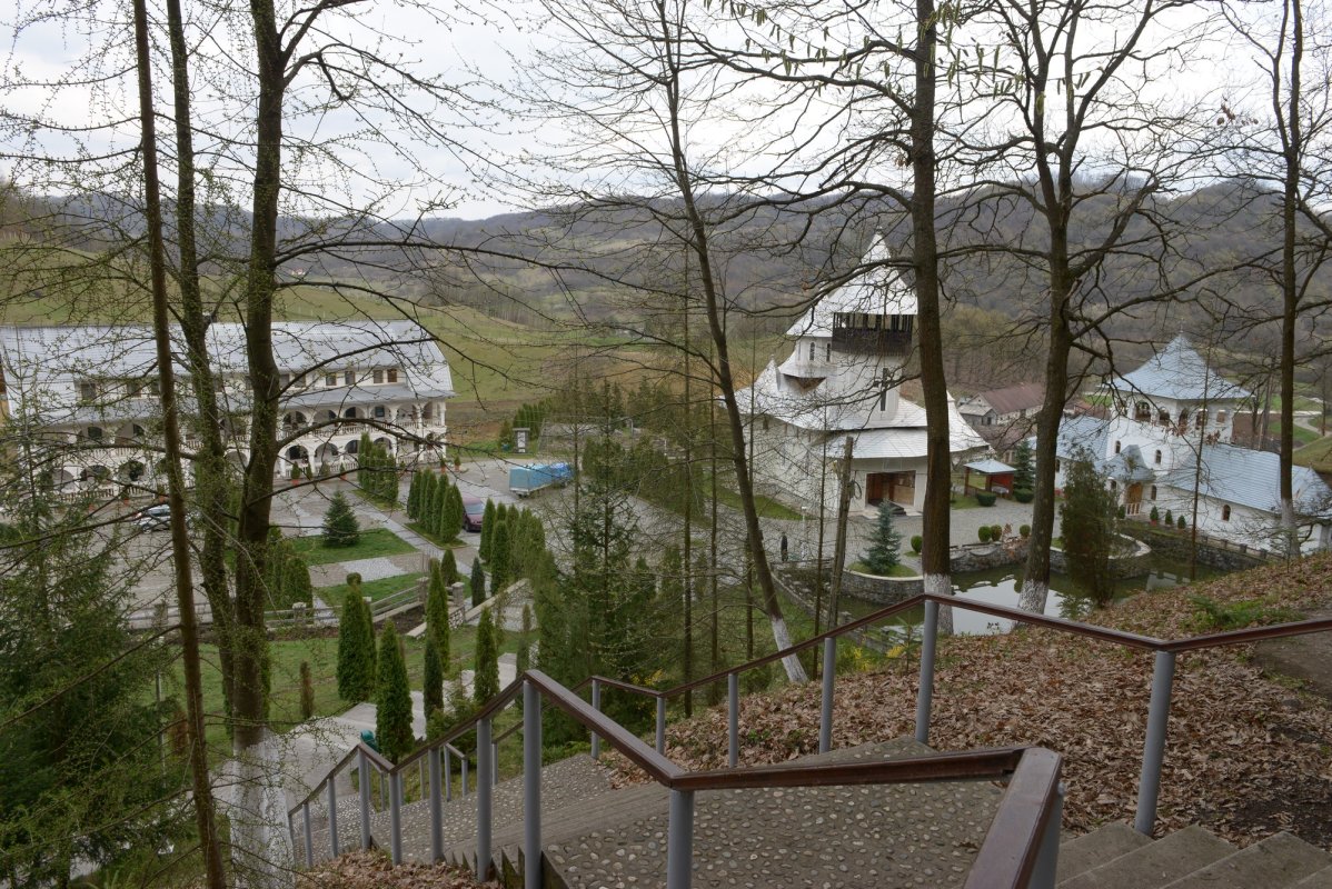 Crișan sau bucuria întâlnirii cu lumina care te hrănește 58530