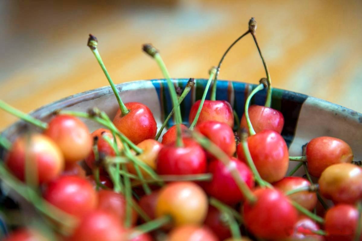 Căniţa cu cireşe a Patriarhului Justinian şi autorităţile comuniste 58150