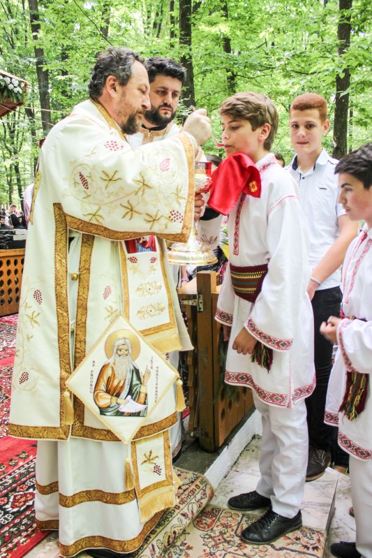 Dialog cu tinerii în codrii Buciumenilor 58031